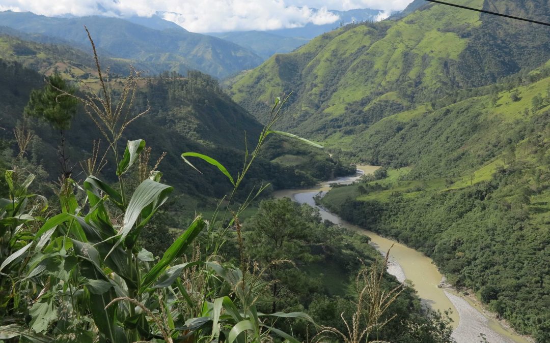 Boabele de cafea Guatemala Huehuetenango si Brazil Fazenda Paredao